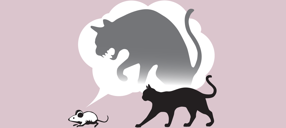 A mouse, pursued by a relaxed cat, is imagining that its adversary is much more fearsome than it is.
