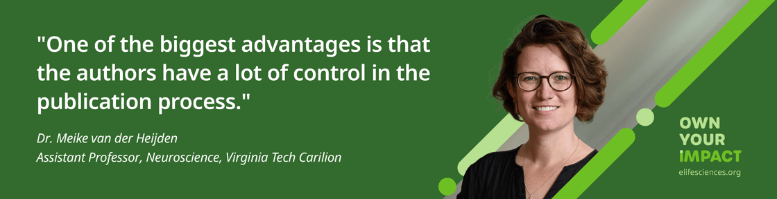 Meike more authors email bannerv3